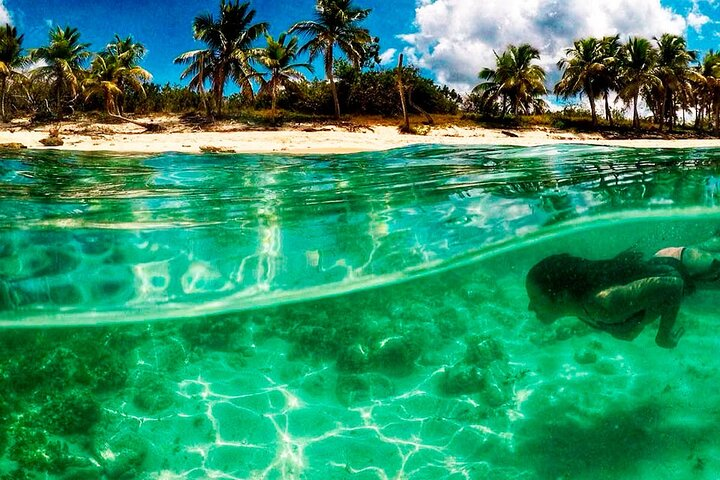 Dive Boat Tour on Catalina Bayahibe Island - Photo 1 of 8